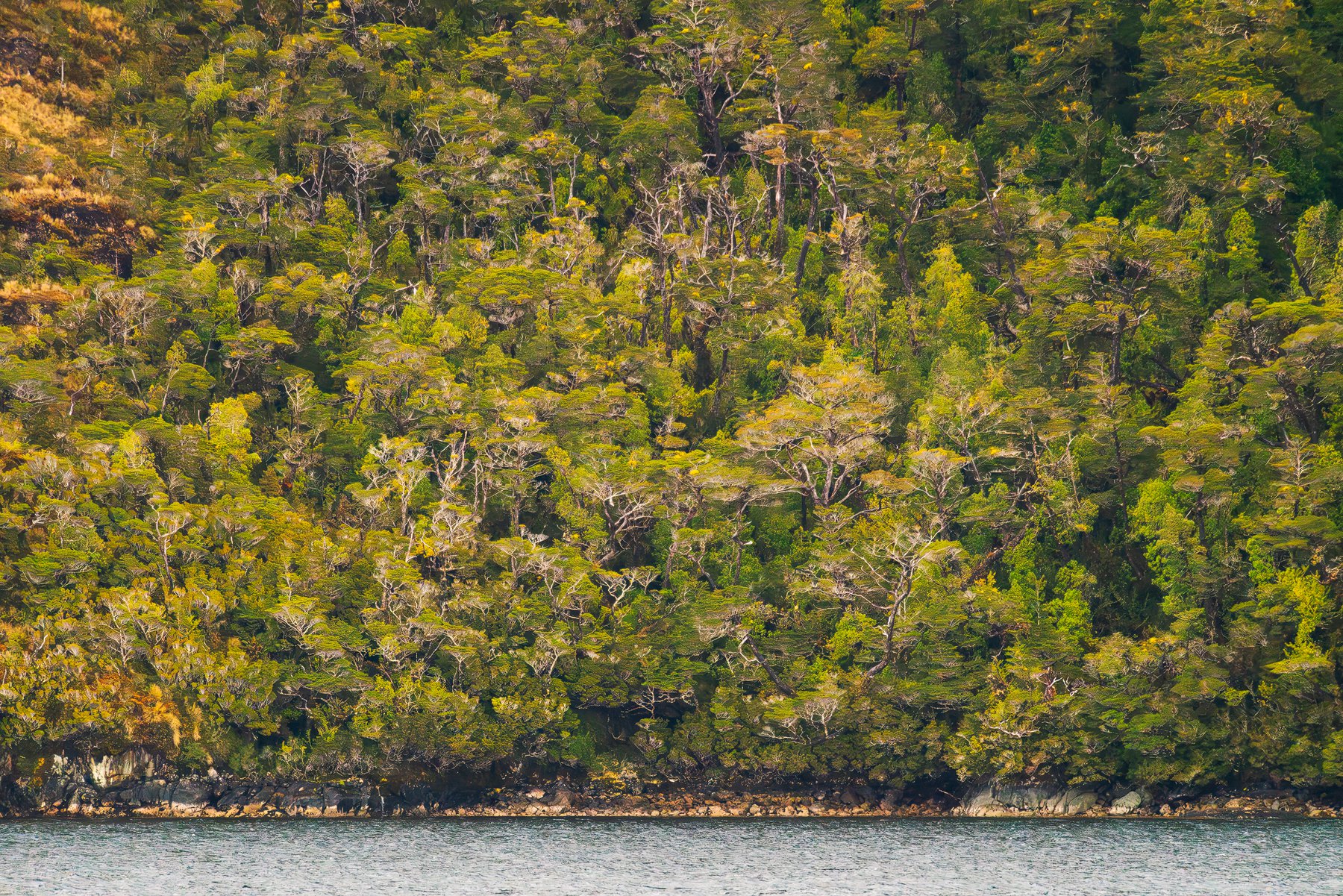  DSC3035 Enhanced NR 1 copy