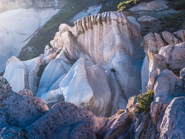 Whitelands — Pehuenco, Chile
