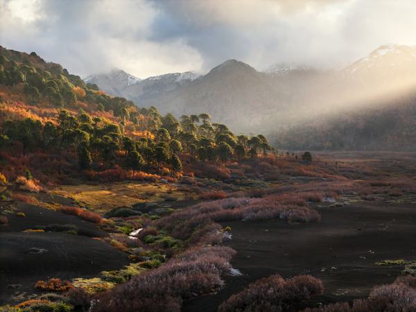 Light and Atmosphere — La Fusta, Araucanía Andina, Chile