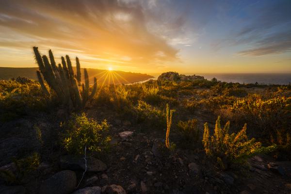 El Sol sobre el Mar — Norte de Chile