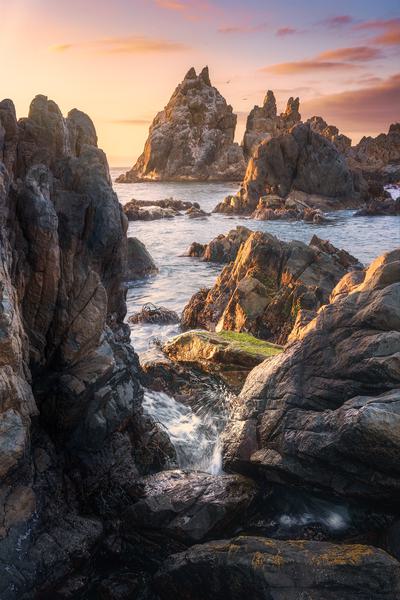 Kingdom of Sea&Stone — Coquimbo, Chile