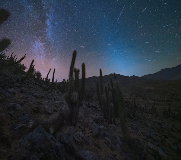 Lluvia de Estrellas — Valle del Elqui, Chile