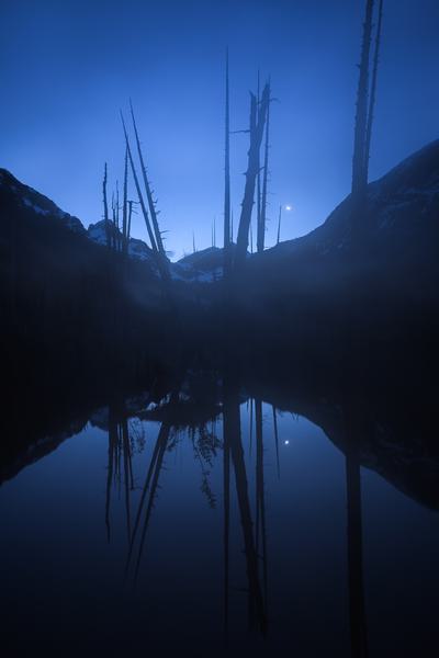 Niebla Azul — Parque Tagua Tagua, Los Lagos