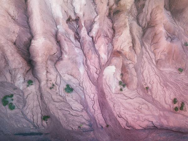 Bosques del Desierto — Valle del Arcoiris, Atacama