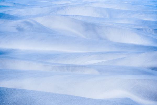 Dunas de Topocalma — Dunas de Topocalma, Chile
