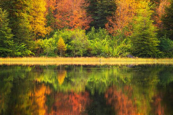 Otoño en Tolhuaca — Tolhuaca, Araucanía