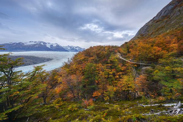 Glaciar Grey — Torres del Paine, Patagonia