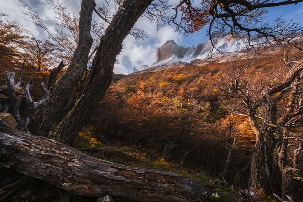 Otoño en los Cuernos — Torres del Paine, Patagonia