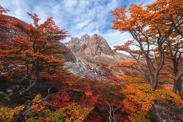 Montañas Australes — Isla Navarino, Patagonia