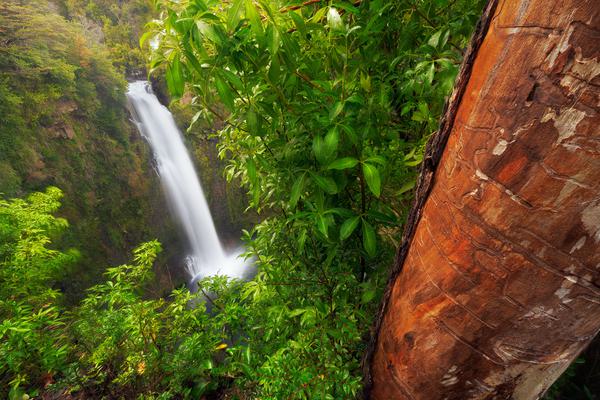 Salto Malleco — Salto Malleco, Tolhuaca