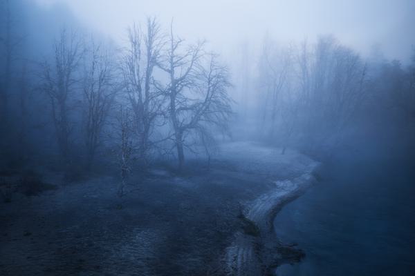 Bosque Fronterizo — Bariloche, Patagonia