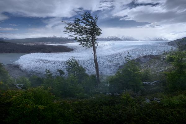 Seclution — Torres del Paine, Chile