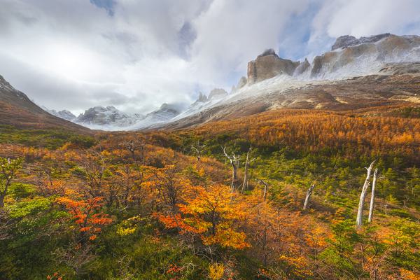 Despiertan las Montañas — Torres del Paine, Patagonia