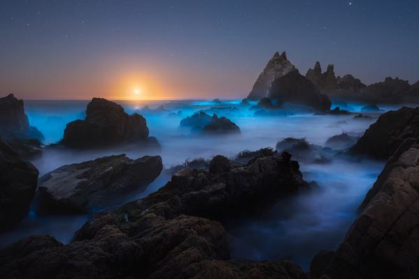 Bioluminiscence I — Coquimbo, Chile