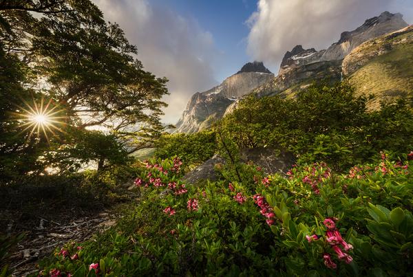 God's photograph — PN Torres del Paine, Patagonia