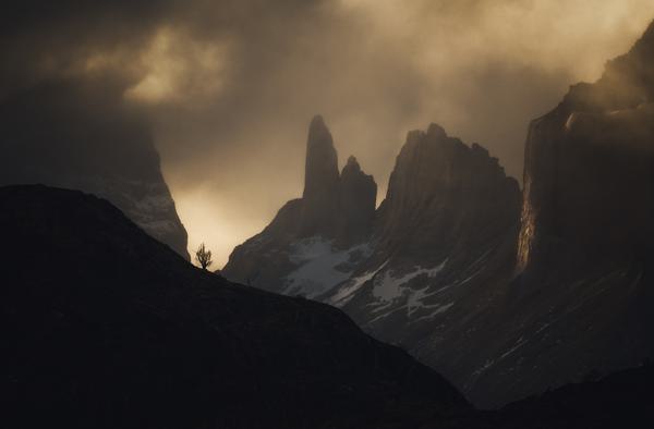 El Observador — Torres del Paine, Patagonia