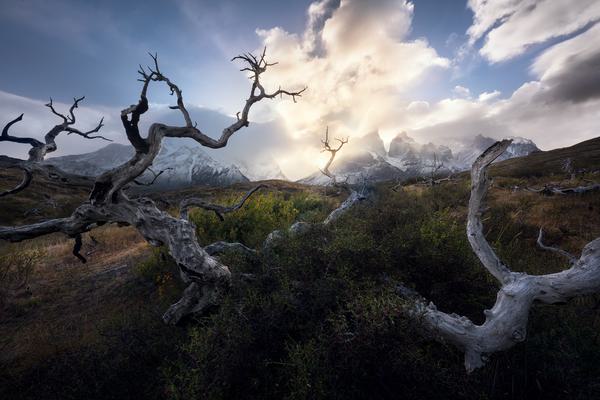 Paine Grande — Torres del Paine, Patagonia