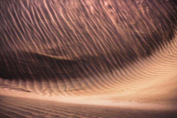 Movimiento en la Duna — Dunas de Longotoma, Chile