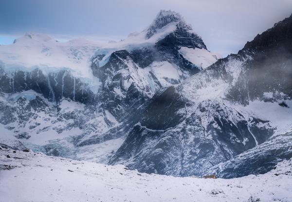 El Paine y el Puma — Torres del Paine, Patagonia