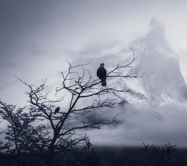 Winterfell — Torres del Paine, Patagonia